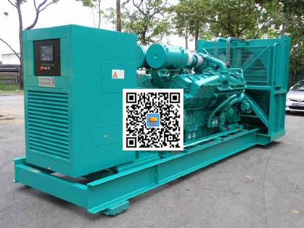 聂荣租赁发电机-康明斯发电机性价比还是比较高的